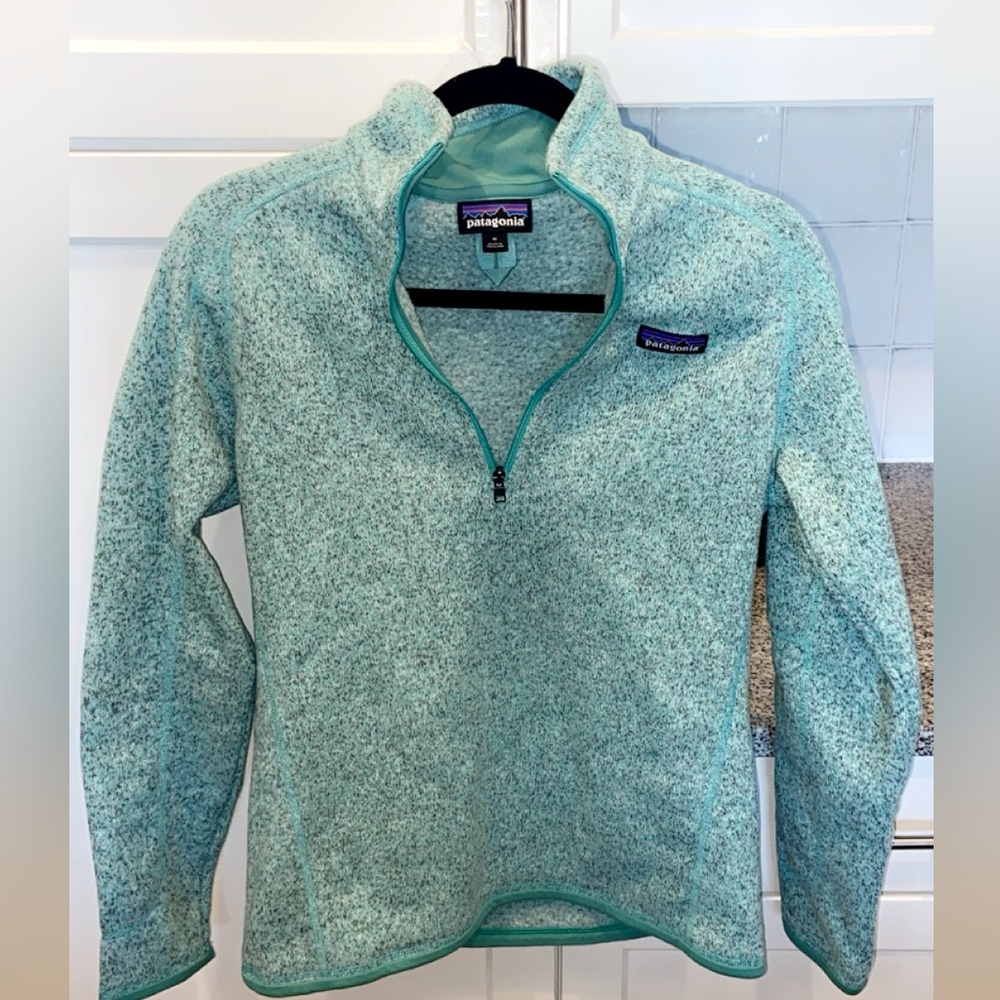 Patagonia blue pull over